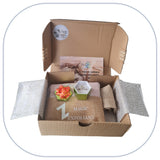 [B2C] - BOX Bijoux Maman-Beauté - modèle "AQUA" [BOX BT2-FREU B2B]