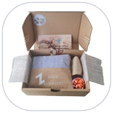 [B2C] - BOX Bijoux Maman-Beauté - modèle "COURONNE" [BOX BT2-FREU B2B]